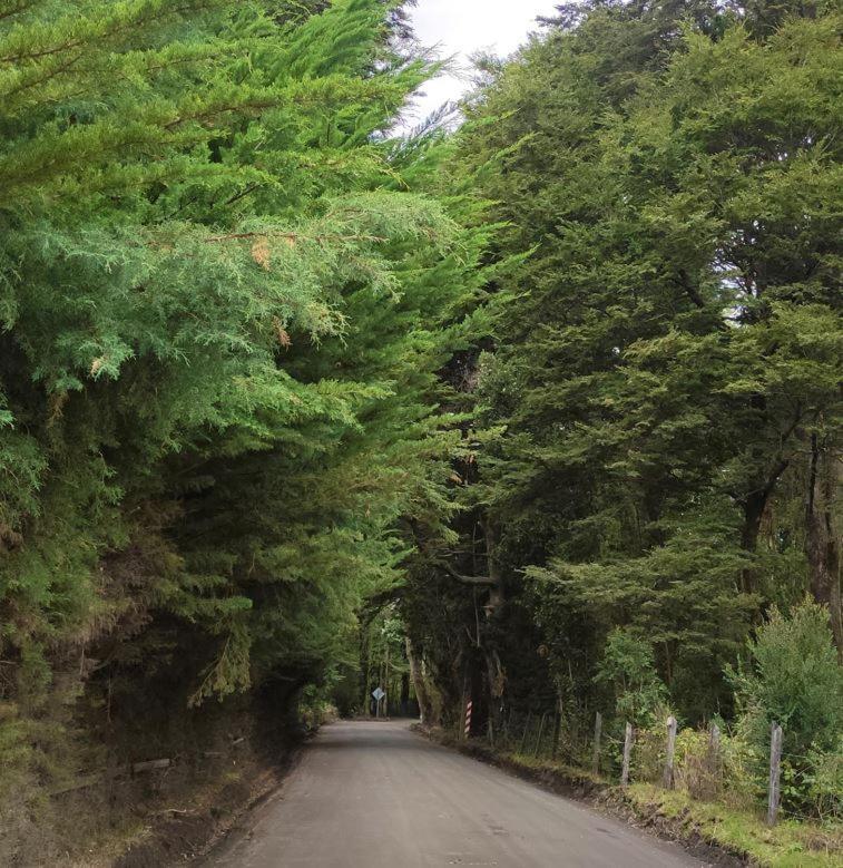 Cabana Ensenada, Puerto Varas - 1 Ambiente Экстерьер фото