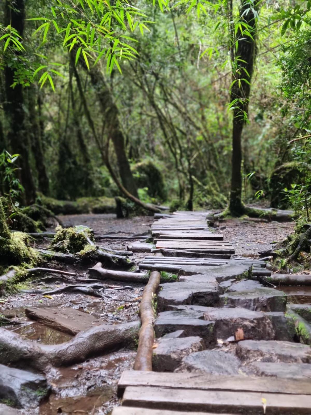 Cabana Ensenada, Puerto Varas - 1 Ambiente Экстерьер фото